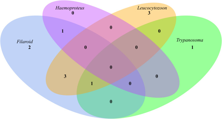 Molecular analysis of blood-associated pathogens in common ravens (Corvus corax) from Germany.