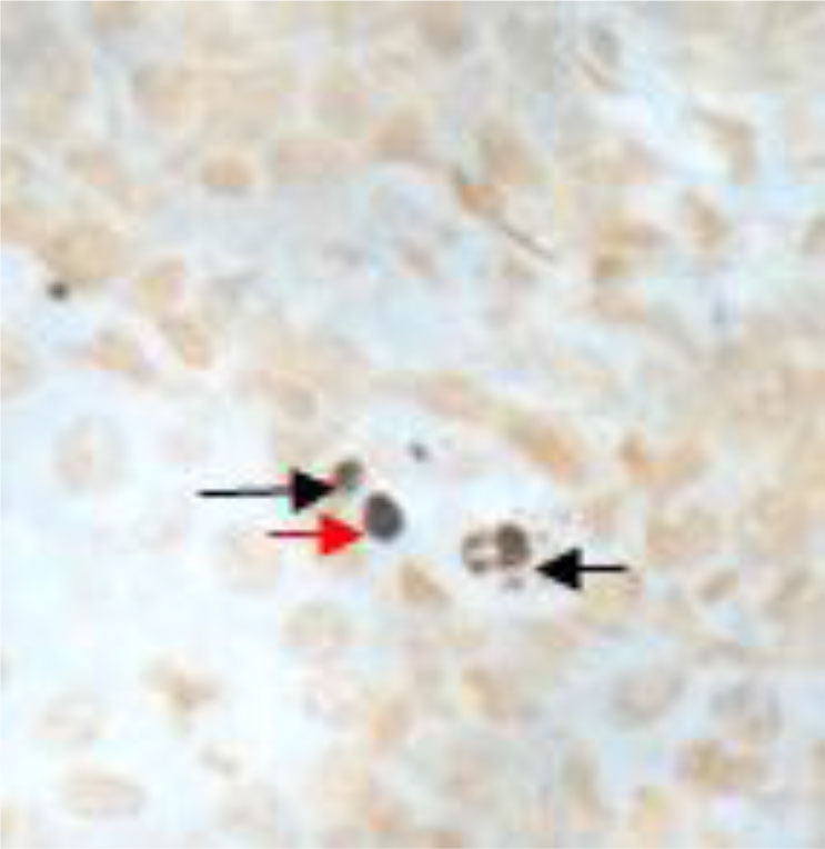 Abstract Image