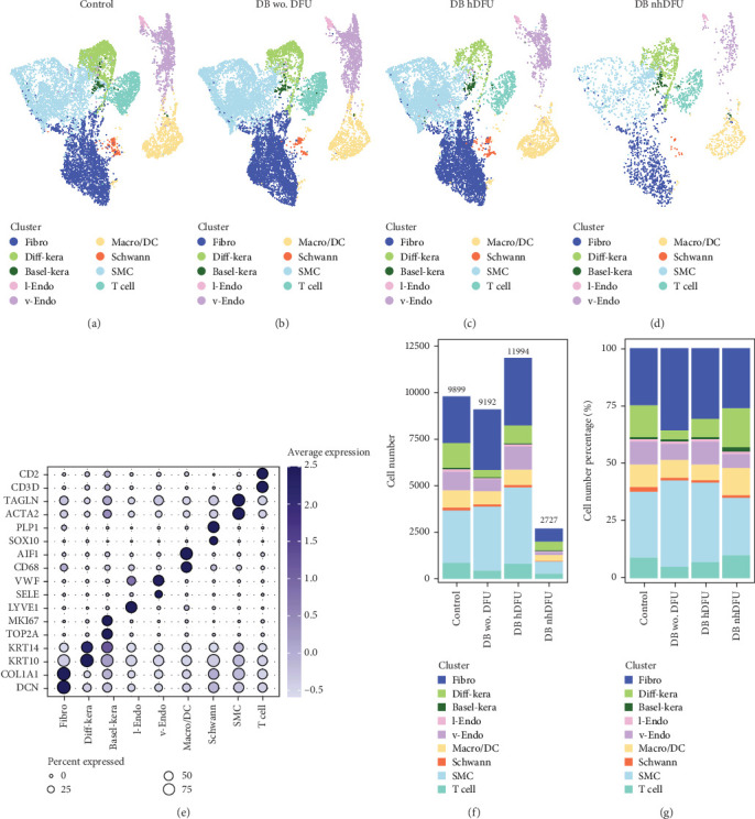 Potential Role of CD99 Signaling Pathway in Schwann Cell Dysfunction in Diabetic Foot Ulcers Based on Single-Cell Transcriptome Analysis.