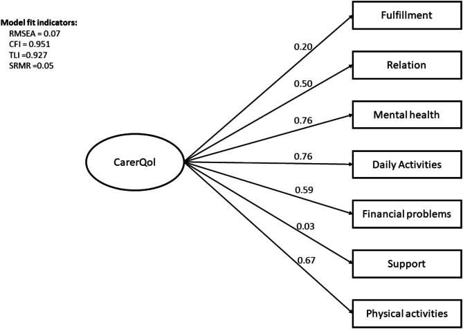 Psychometric validation and cultural adaptation of the Chinese version of the CarerQol-7D instrument.