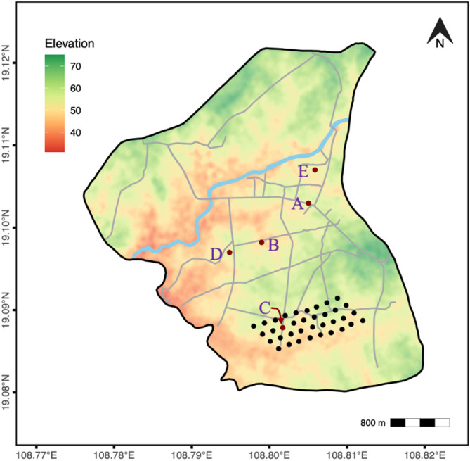 Temporal patterns and environmental drivers of the red junglefowl vocalization.