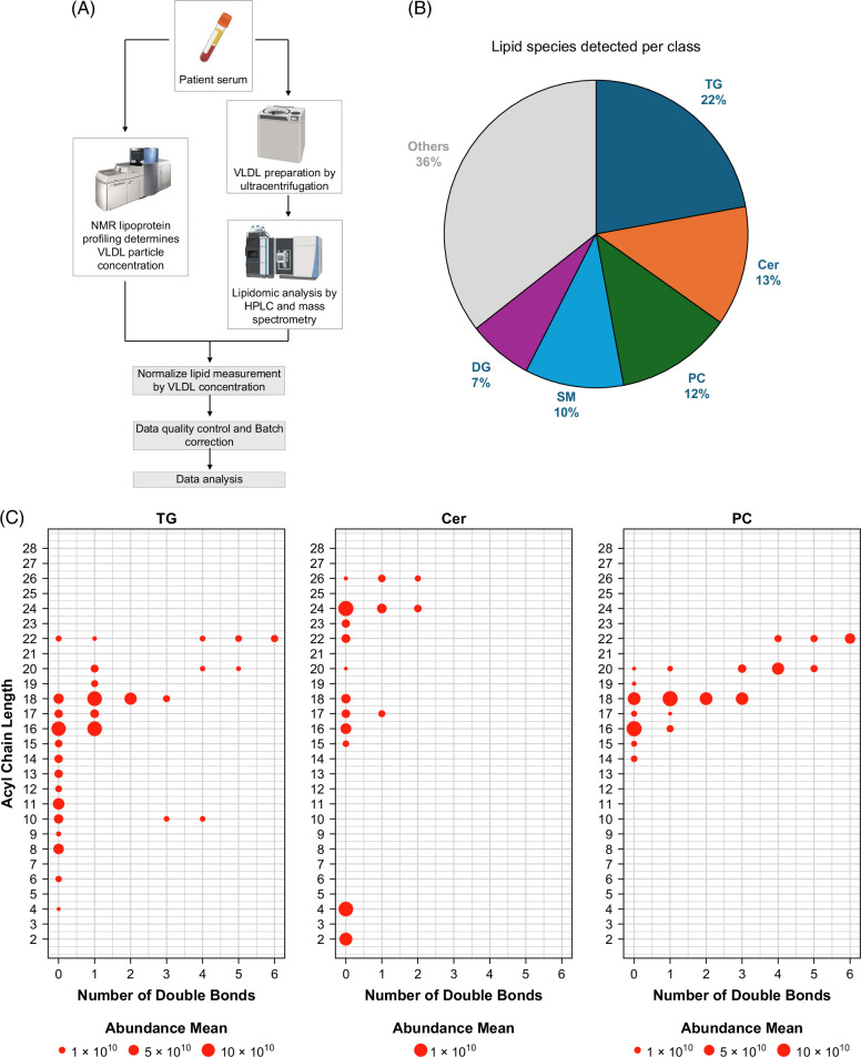 VLDL lipidomics reveals hepatocellular lipidome changes in metabolic dysfunction-associated steatotic liver disease.