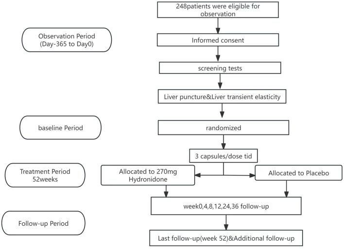 Hydronidone for the Treatment of Liver Fibrosis Associated with Chronic Hepatitis B: Protocol for a Phase 3 Randomized Trial.
