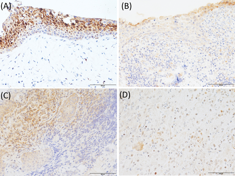 Abstract Image