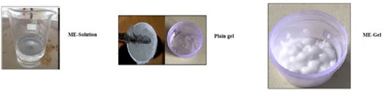 Microemulsion Gels of Tapentadol Hydrochloride: Statistical Analysis of Pharmacokinetics and Skin Irritation Studies.