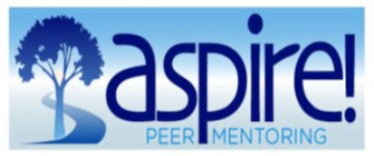 Development of a peer and near-peer mentoring program to support early career research faculty: The ASPIRE! program.