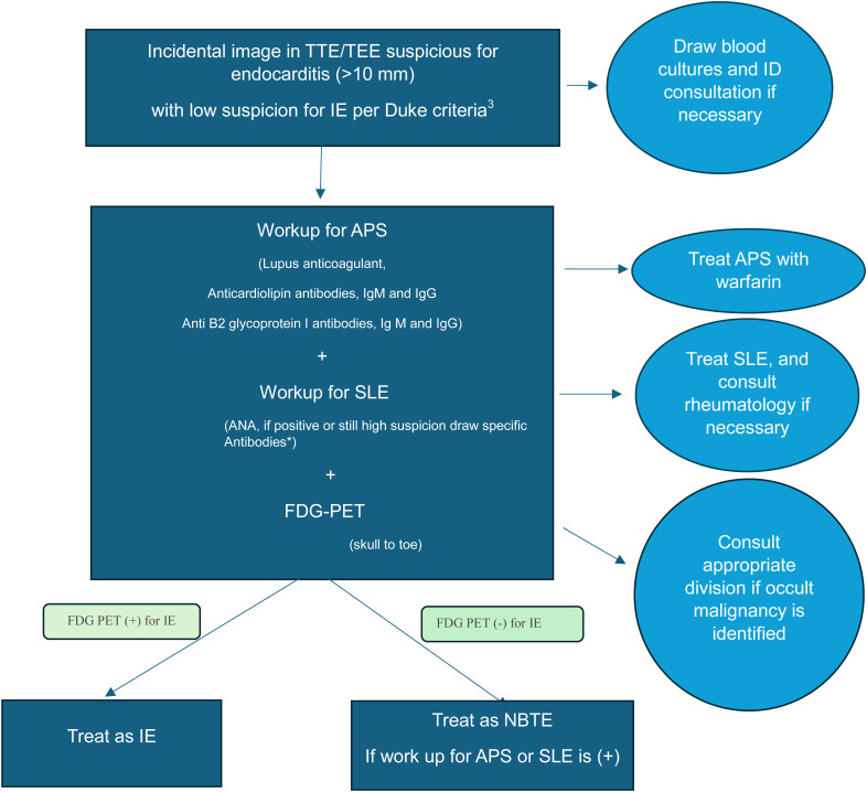 The Importance of FDG PET in Workup of Nonbacterial Thrombotic Endocarditis.
