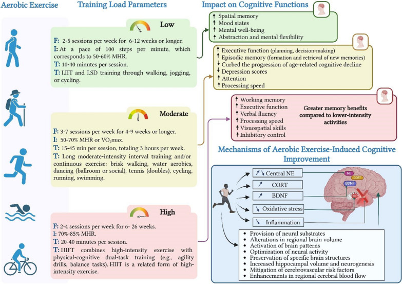 Physical Activity to Counter Age-Related Cognitive Decline: Benefits of Aerobic, Resistance, and Combined Training-A Narrative Review.