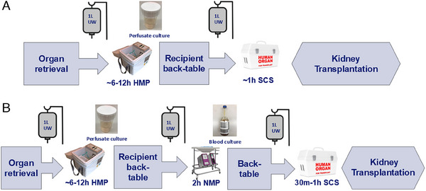 Limited Risk of Microbial Contamination During Hypothermic and Normothermic Machine Perfusion of Donor Kidneys.