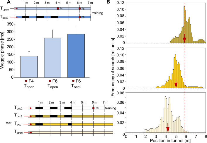Path integration and optic flow in flying insects: a review of current evidence.