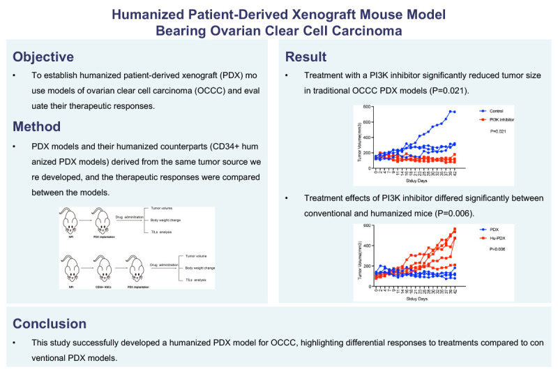 Humanized patient-derived xenograft mouse model bearing ovarian clear cell carcinoma.