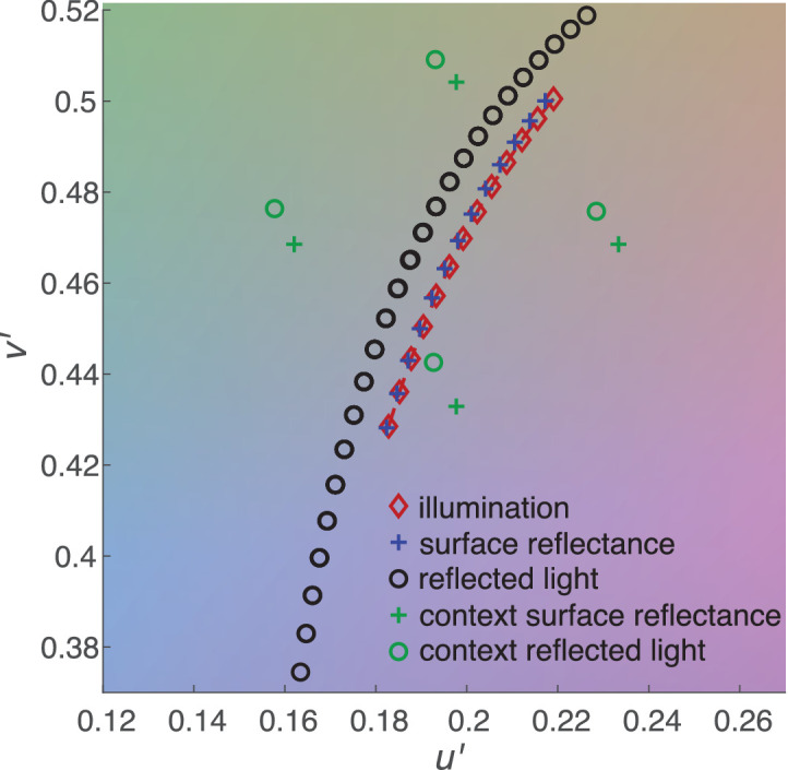 The effect of illumination cues on color constancy in simultaneous identification of illumination and reflectance changes.