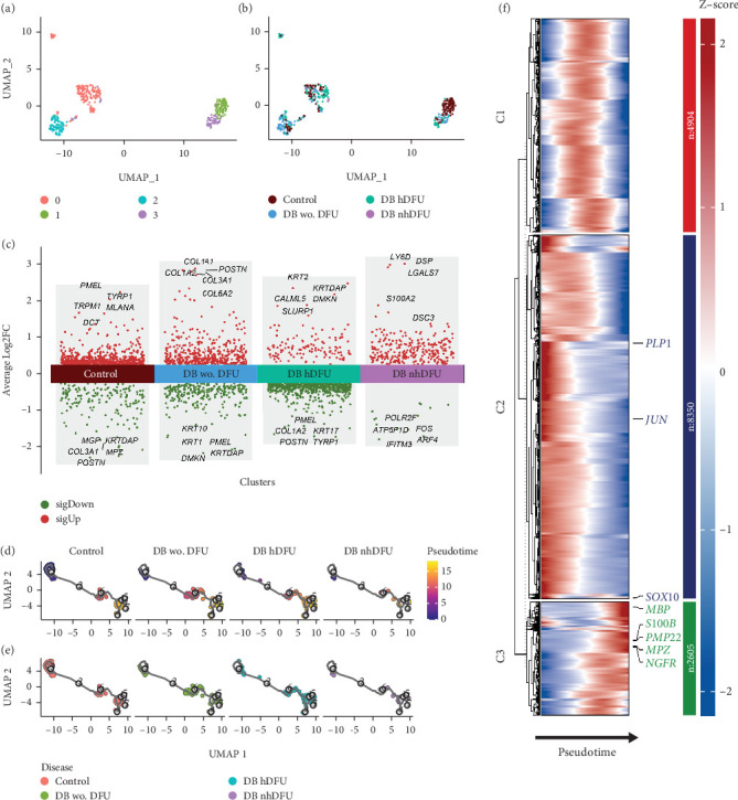 Potential Role of CD99 Signaling Pathway in Schwann Cell Dysfunction in Diabetic Foot Ulcers Based on Single-Cell Transcriptome Analysis.