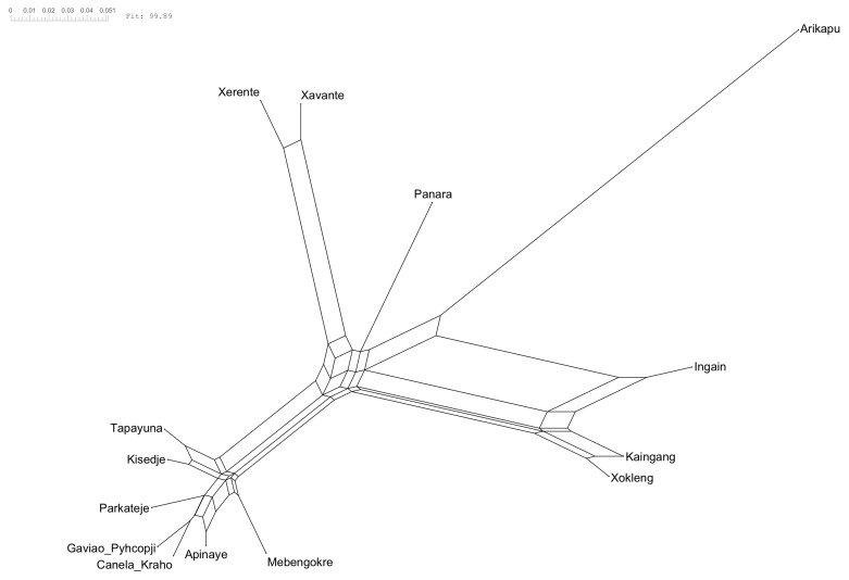 A phylogenetic classification of the Je language family.