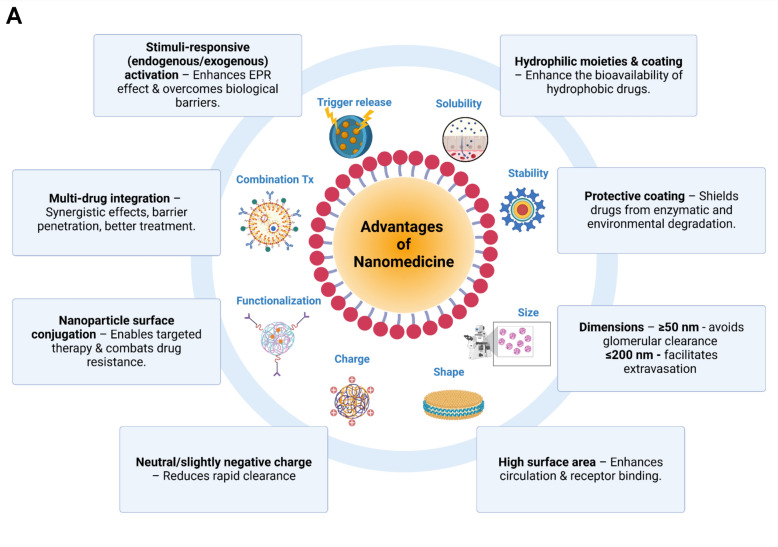 Developments in nanotechnology approaches for the treatment of solid tumors.