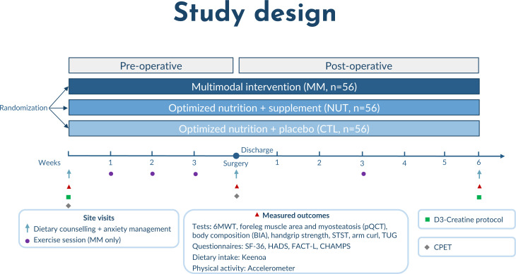 Novel multimodal intervention for surgical prehabilitation on functional recovery and muscle characteristics in patients with non-small cell lung cancer: study protocol for a randomised controlled trial (MMP-LUNG).