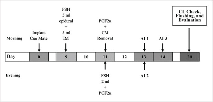 A comparative study of intramuscular versus epidural administration of follicle-stimulating hormone for embryo production in Wagyu Cattle.