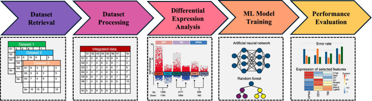 Machine learning identifies genes linked to neurological disorders induced by equine encephalitis viruses, traumatic brain injuries, and organophosphorus nerve agents.