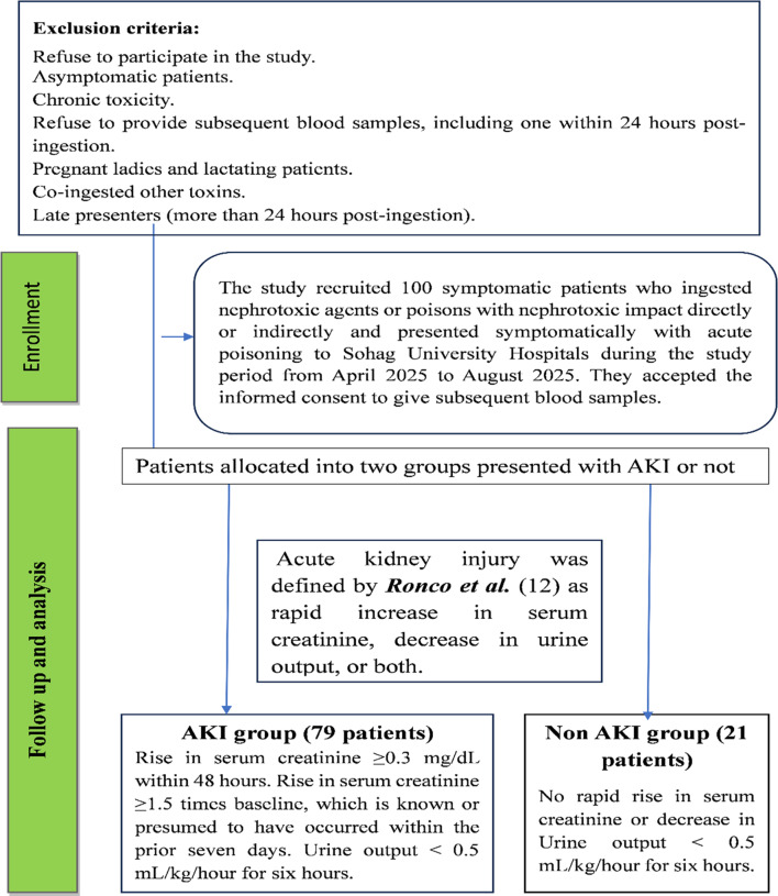 Predictive role of cystatin C and increased proteinuria in early assessment of acute renal toxicity in patient poisoned by nephrotoxic drugs and poisons.