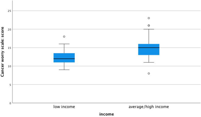 Translation, cultural adaptation, and pilot testing of the German cancer worry scale among BRCA1/2 pathogenic variant carriers in Austria.