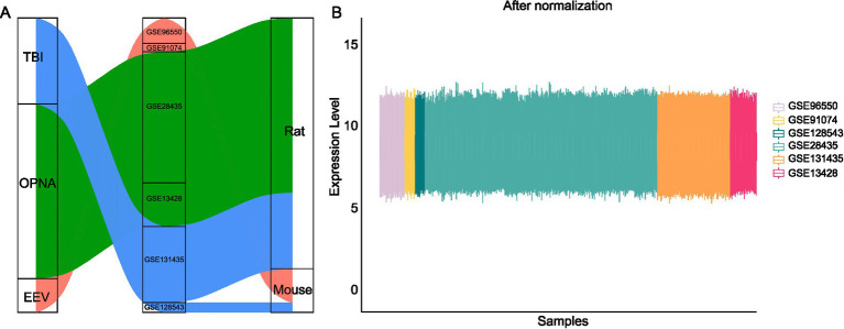Machine learning identifies genes linked to neurological disorders induced by equine encephalitis viruses, traumatic brain injuries, and organophosphorus nerve agents.