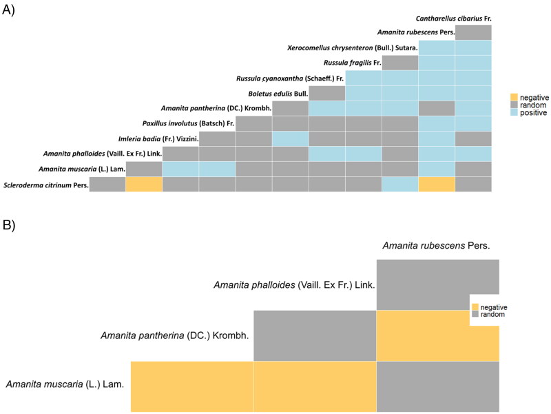 Use of Ecological Networks to Reveal Interspecific Fungal Interactions from 150 Years of Foray Records.
