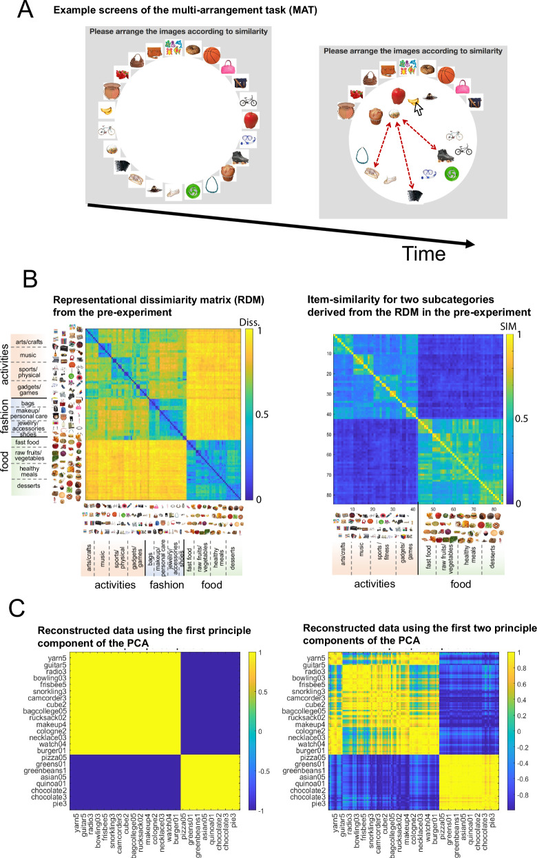 Feature identification learning both shapes and is shaped by spatial object-similarity representations.