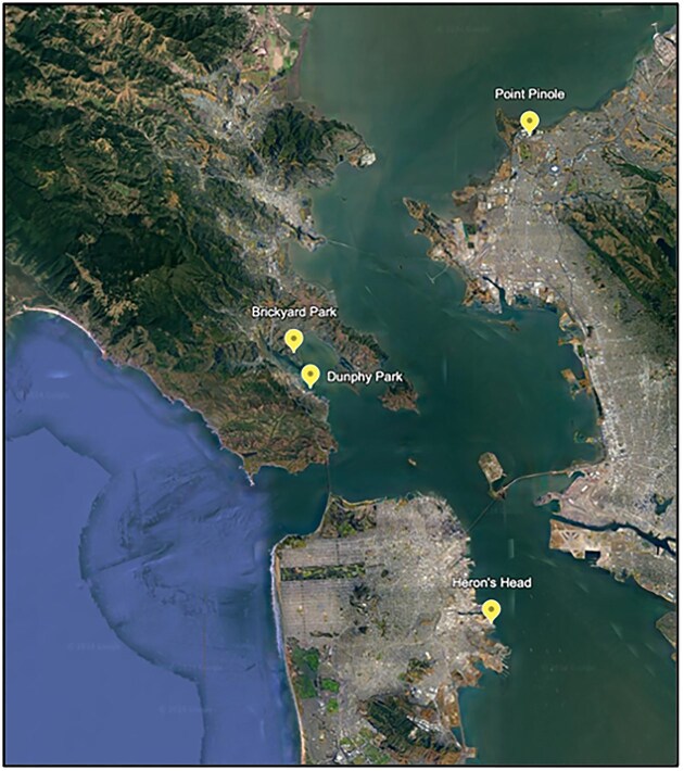 Combinatorial characterization of bacterial taxa-driven differences in the microbiome of oyster beds.