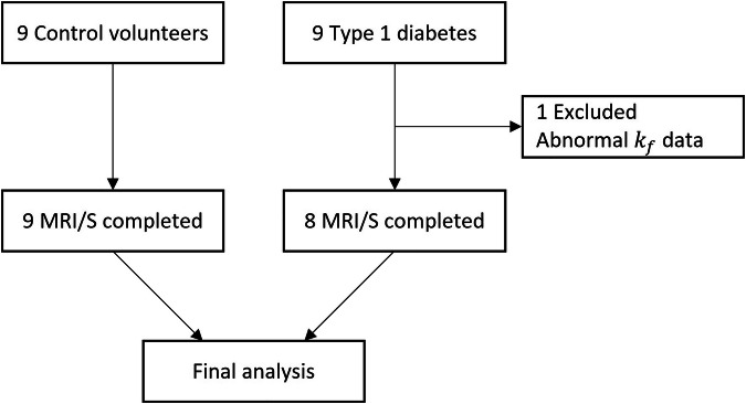 <sup>31</sup>P-MRS saturation transfer for assessing human hepatic ATP synthesis at clinical field strength.