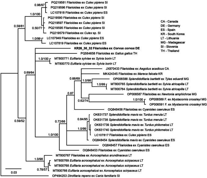 Molecular analysis of blood-associated pathogens in common ravens (Corvus corax) from Germany.
