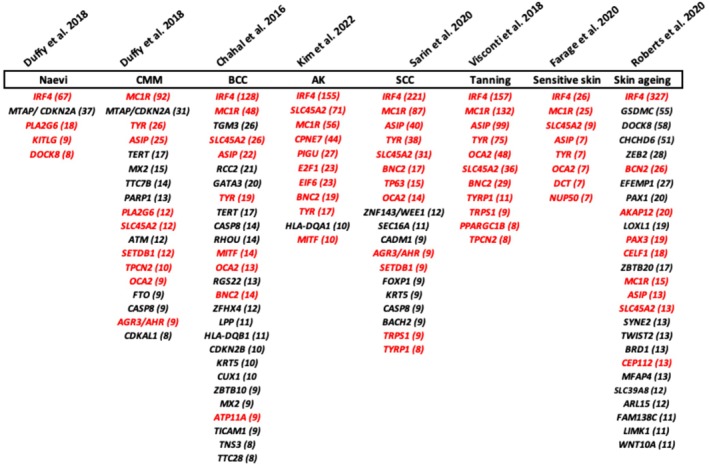 Assessment of the Influence of UVR in Cutaneous Melanoma.
