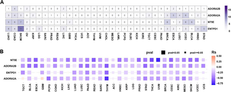 The progress and prospects of targeting the adenosine pathway in cancer immunotherapy.