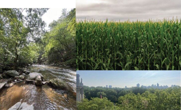 Defining the decline: a glossary relevant to insect decline.