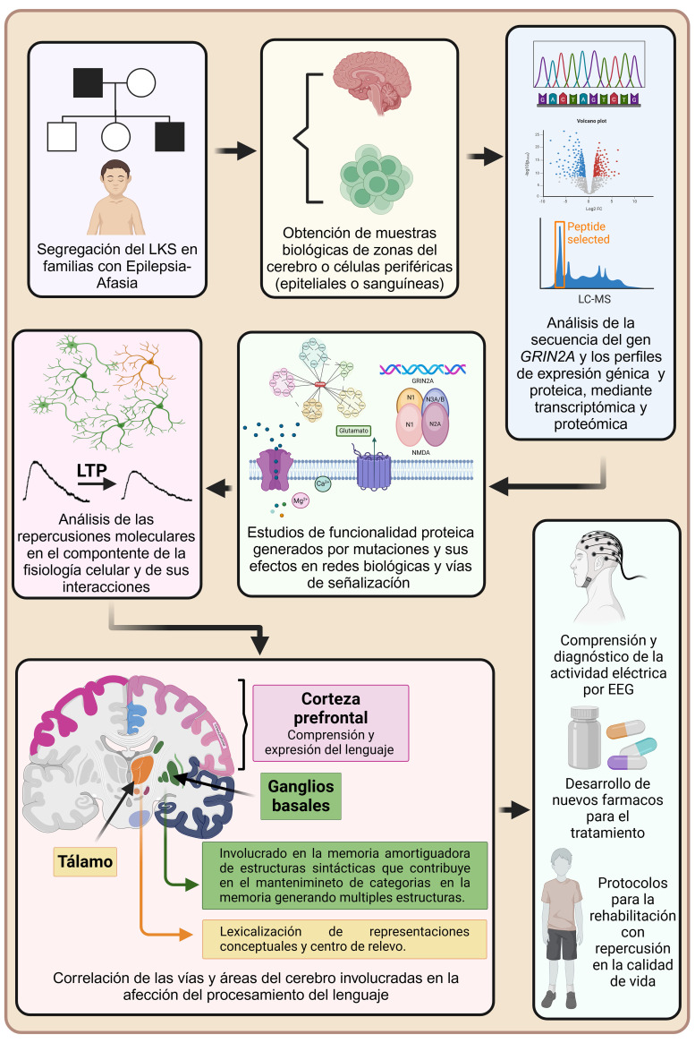 [Landau-Kleffner Syndrome: Current Etiopathogenesis and Management].