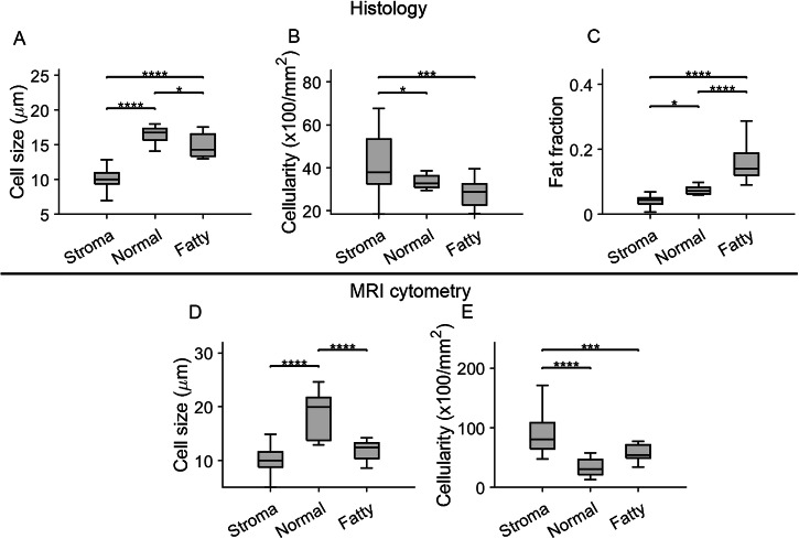 Noninvasive assessment of liver inflammation in metabolic dysfunction associated steatohepatitis using MR cytometry.