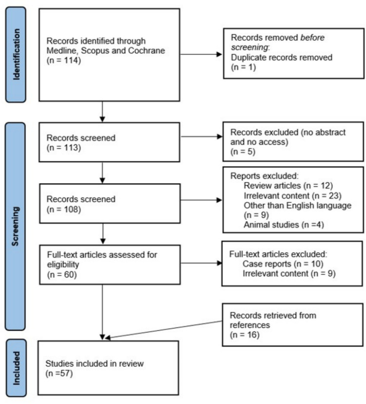Mesenteric Fibrosis in Neuroendocrine Neoplasms: a Systematic Review of New Thoughts on Causation and Potential Treatments.