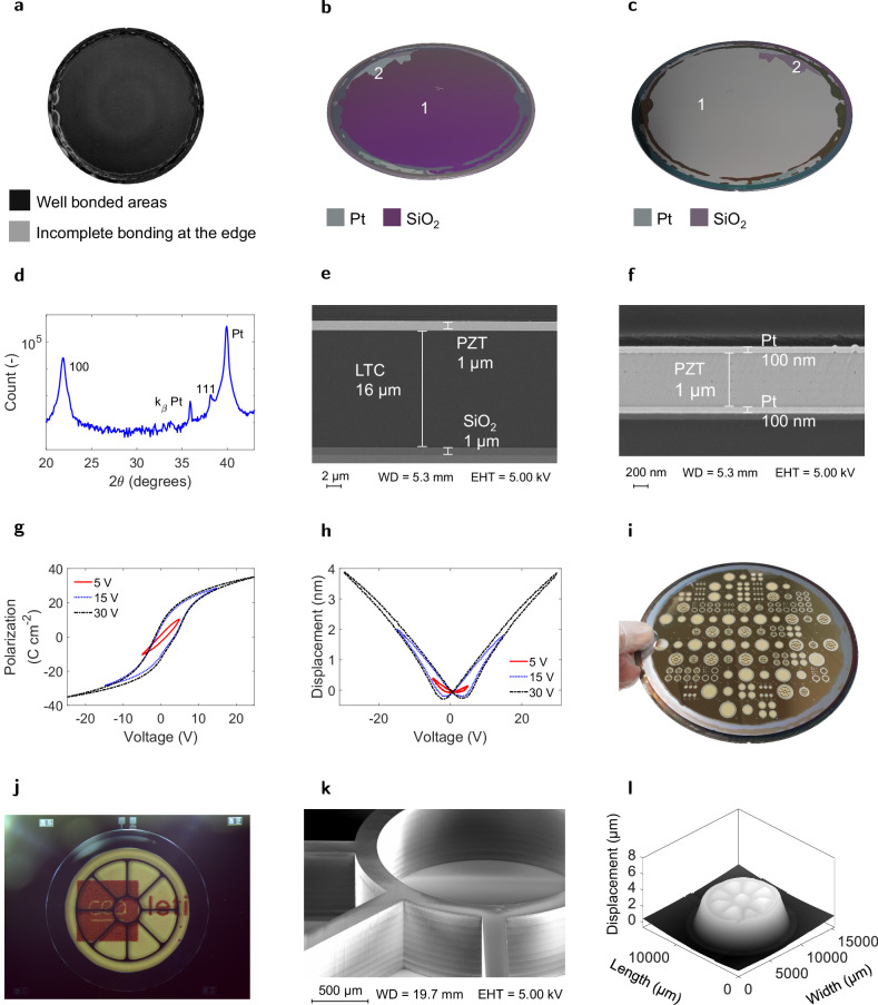 A polymer-based MEMS loudspeaker featuring a partially stiffened membrane actuated by a PZT thin film.