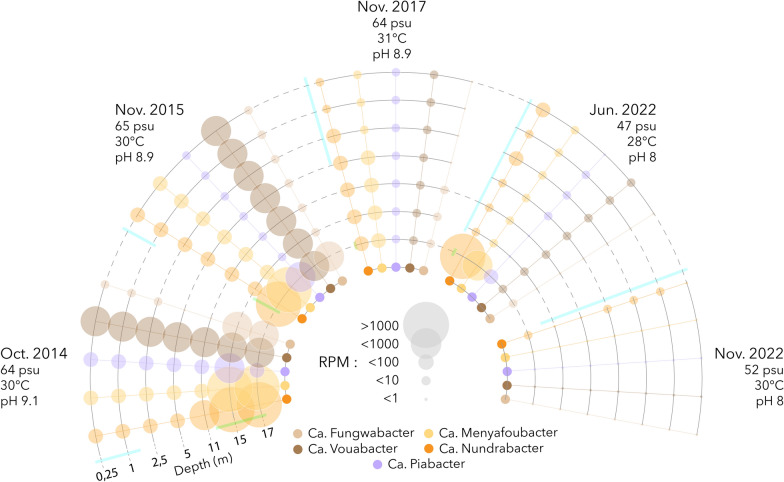 Genomic characterisation of novel extremophile lineages from the thalassohaline lake Dziani Dzaha expands the metabolic repertoire of the PVC superphylum.
