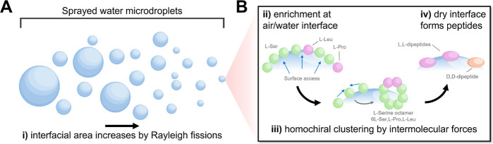 Serine Octamer Clusters Direct the Chirality of Peptides Formed in Water Microdroplets.