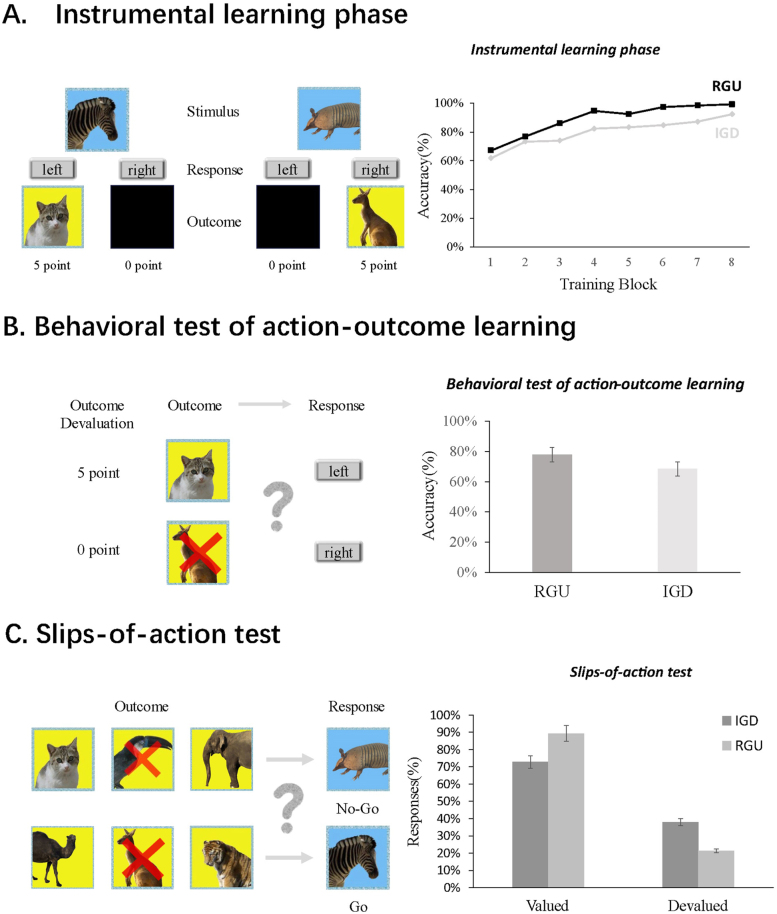Increasingly dependent on habit? A study on the electrophysiological mechanisms of goal-directed and habitual control in internet gaming disorder.