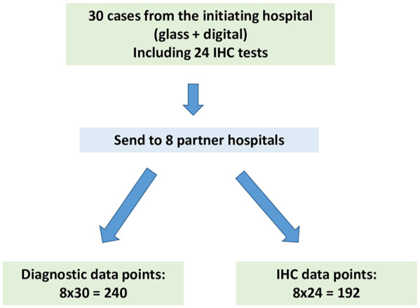 Validation of A Nationwide Digital Pediatric Pathology Consultation Network.