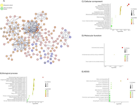 Proteome of Renal Tubuli and Serum Differentiate Pre-Existing Type 2 Diabetes and Post-Transplant Diabetes in Kidney Transplant Recipients.