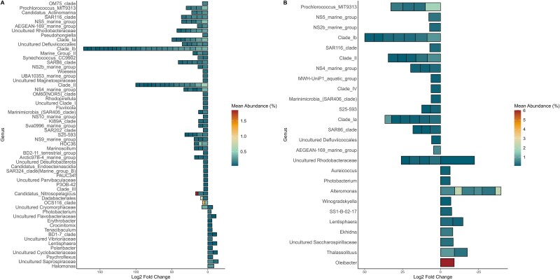 In a sea of microbes, eddy events trigger diatom export in the Sargasso Sea.