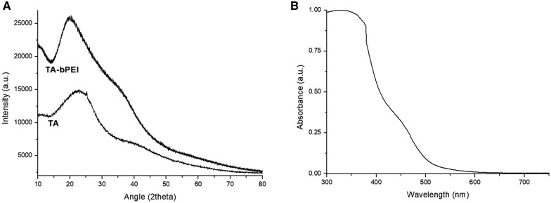 Tartaric acid-branched polyethyleneimine carbon dots promote repair of bone defect via osteogenic differentiation.