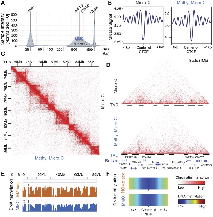 Methyl-Micro-C: simultaneous characterization of chromatin accessibility, interactions, and DNA methylation.