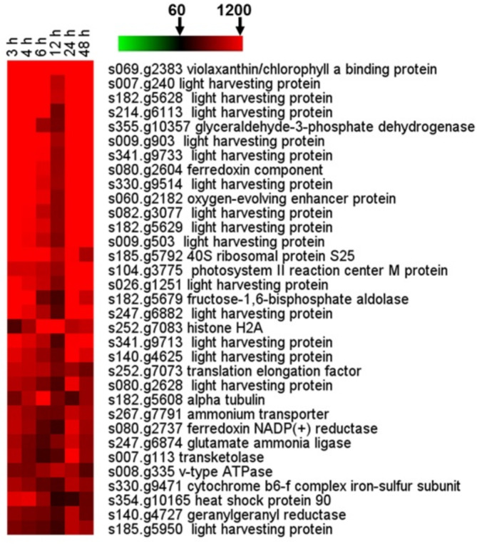 Systematic approach for dissecting promoters and designing transform systems in microalgae.