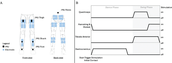 Feasibility and safety of automated multi-channel FES-assisted gait training in incomplete spinal cord injury.