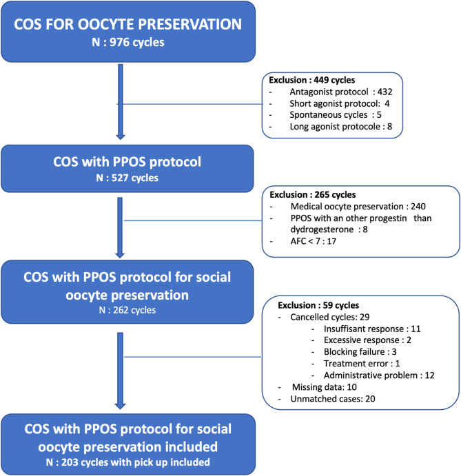Progestin-primed ovarian stimulation for oocyte cryopreservation in patients with nonmedical indications: a case-control study.