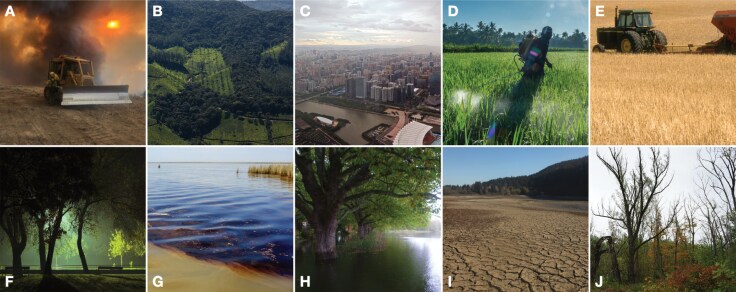 Defining the decline: a glossary relevant to insect decline.