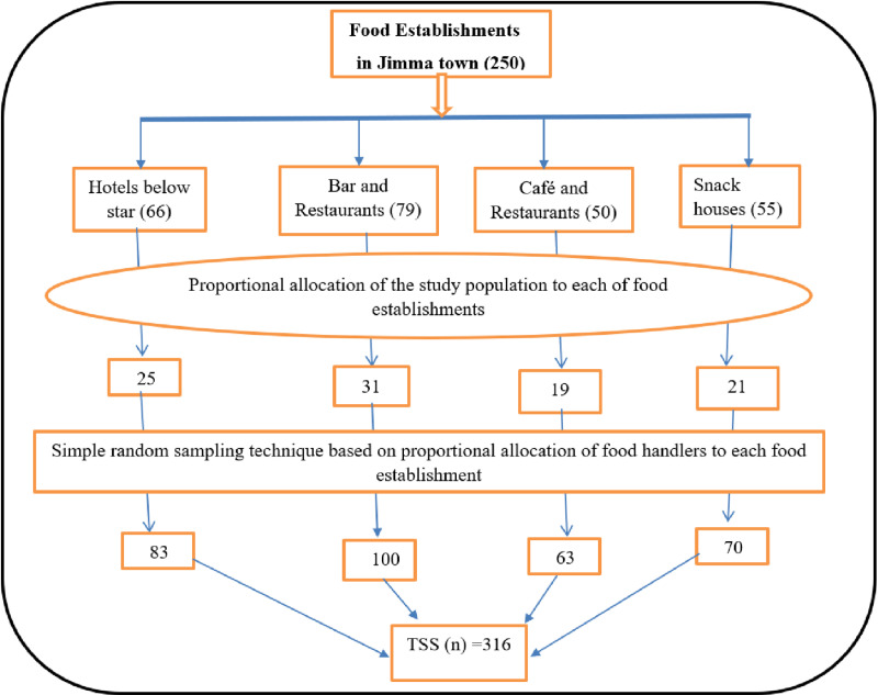 Food hygiene practices and associated factors among food handlers in food establishments of Jimma City, Southwest Ethiopia.